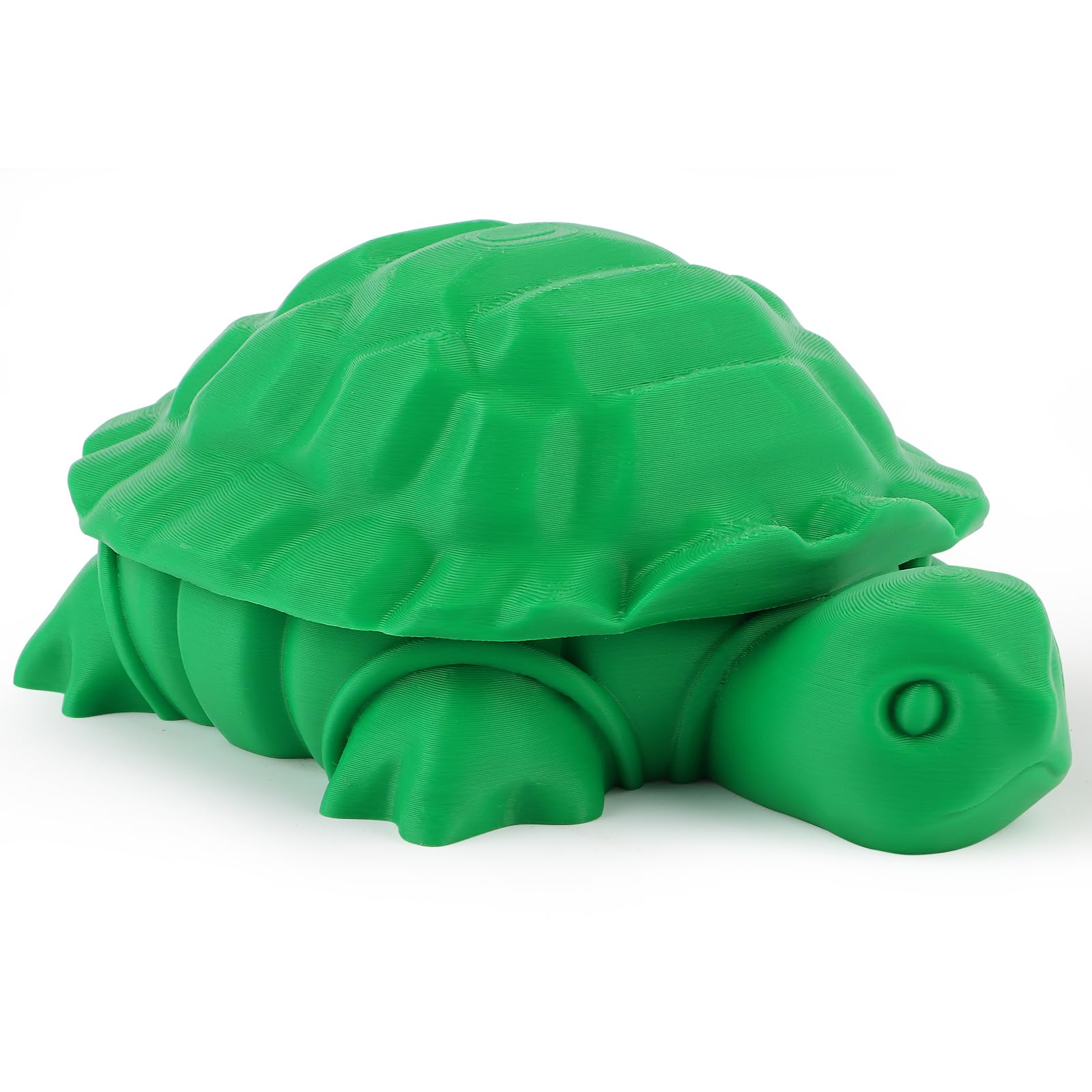 Amazon.com: EAMC XHXX Mini Desktop Turtle Sandbox with Soft Sand